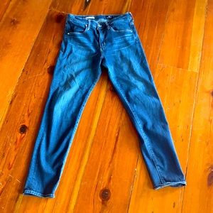 AG The High Rise Stevie Ankle 29R